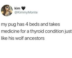 a tweet with the caption that reads, my pug has 4 beds and takes medicine for a thyroid condition just like his wolf ancestors