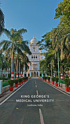 the road leading to king george's medical university in lucknow, india is lined with palm trees