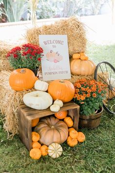 pumpkins, gourds and flowers are arranged on hay bales in front of a welcome sign