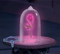 a pink rose under a glass dome on top of a table