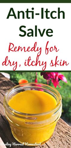 Dandelion Salve, Itchy Skin Remedy, Rashes Remedies, Salve Recipes, Herbal Salves, Itching Skin, Skin Natural Remedies, Dry Itchy Skin, Anti Itch