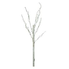 a white tree with no leaves on it