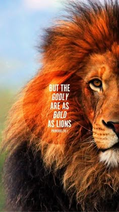 a lion with the words, but the godly are as bold as lions