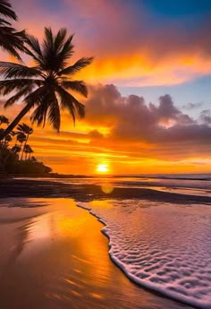 the sun is setting behind some palm trees on the beach with waves coming in to shore