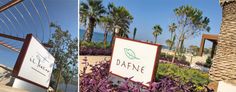 two pictures of the same sign in front of some palm trees and purple flowers on either side