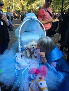 Dog Parade, Halloween Dog, Dog Halloween Costumes, Dog Halloween, Baby Car Seats, Cinderella, Halloween Costumes, Square, Halloween