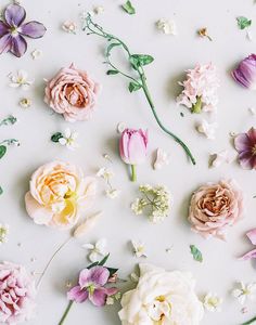 pink and yellow flowers are arranged on a white surface with green leaves, buds, and tiny white flowers