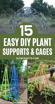 the top ten diy plant supports and cages