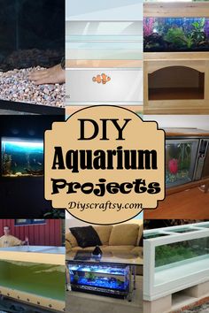 there are many different types of aquariums in this collage with the words diy aquarium projects