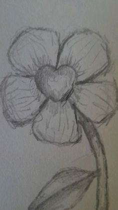 a pencil drawing of a flower with leaves