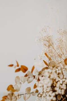 some white flowers are in a vase on the table