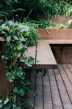 a wooden bench sitting on top of a wooden floor covered in plants and greenery