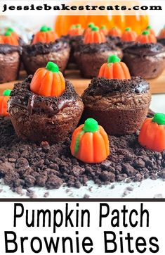 pumpkin patch brownie bites with chocolate frosting on top