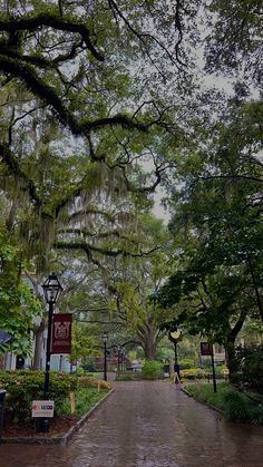 an empty street with trees on both sides and signs hanging from the ceiling above it