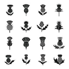 black and white silhouettes of flowers on a white background royalty photo, clipping