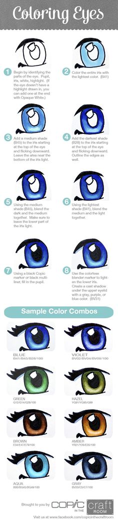 an info sheet with different colored eyes