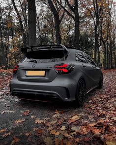 the rear end of a gray car parked on leaves covered ground in front of trees