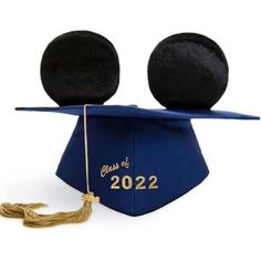 a graduation cap with two black balls on it