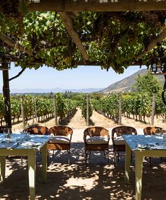 an outdoor dining area with tables and chairs under a pergolated canopy over the vineyard