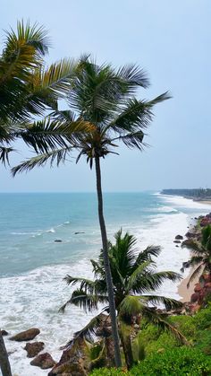 two palm trees on the side of a beach next to the ocean with waves coming in