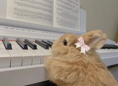 a stuffed rabbit sitting on top of a piano keyboard with a pink bow around it's neck