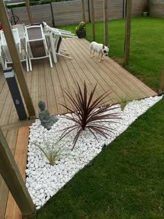 a dog is standing on the deck next to a small plant and some rocks in front of it