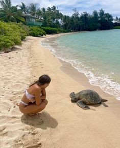 a woman kneeling down next to a turtle on a sandy beach near the ocean with palm trees in the background