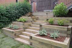 several wooden steps with plants growing in them