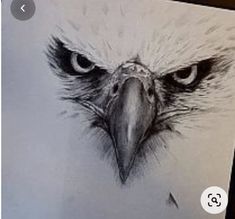 a drawing of an eagle's head is shown in black and white, with the eyes partially open