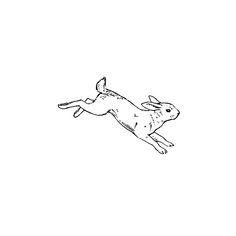 a black and white drawing of a dog jumping in the air