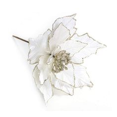 a white flower on a white background