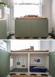 two pictures of a cat laying on top of a bed in a room with green walls