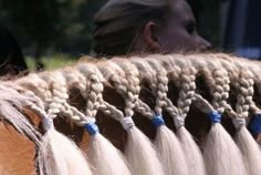 several braids are attached to the back of a horse