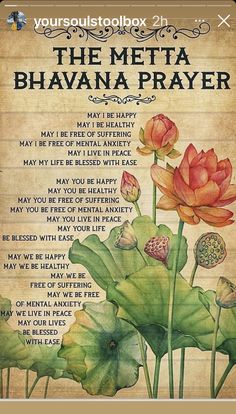 Metta Bhavana, Buddhism Beliefs, Metta Meditation, Lotus Wall Art, Meditation Scripts, Buddhist Wisdom, Loving Kindness Meditation, Buddhist Prayer, Buddha Teachings