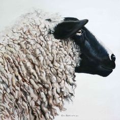 a painting of a black faced sheep with white wool on it's back side