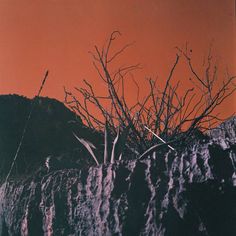 an orange sky is seen over the top of a rock wall with branches in front of it