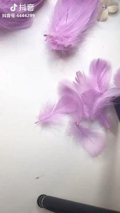 some purple feathers are laying on the table next to a black pen and other items