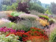 an assortment of colorful flowers and plants in a garden