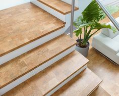 a plant in a pot sitting on top of some steps next to a couch and stairs