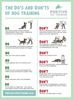 the dos and don'ts of dog training info sheet with instructions on how to use it