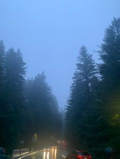 cars driving down a road in the rain with trees on both sides and foggy sky above