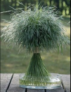 a glass vase filled with grass on top of a wooden table