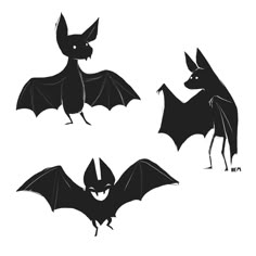 three bats with different shapes and sizes