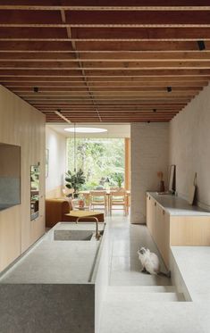 a cat is sitting in the middle of a room with concrete flooring and walls