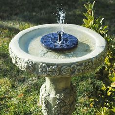 a bird bath sitting on top of a lush green field