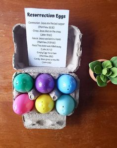 an egg carton filled with colorful eggs next to a potted plant