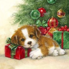 a small dog laying next to a christmas tree with presents on it's side