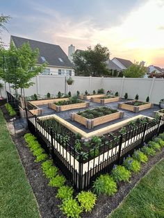 Raised Garden Bed Backyard, Fruit Trees In Raised Garden Beds, Backyard With Garden Raised Beds, Garden Bed Design Ideas, Backyard Landscaping With Garden Beds, Raised Garden Patio, Low Raised Garden Beds, Backyard Garden Boxes Raised Beds, Raised Garden Fence Ideas