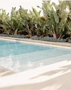 an empty swimming pool surrounded by lush green plants