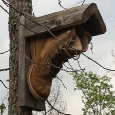 a pair of brown shoes hanging from a wooden post next to a tree with no leaves